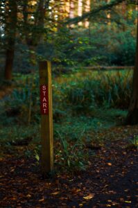 A stock photo that shows a post in a wooded area that says "START". 